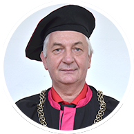 Prodekan pre vedu, výskum a umenie